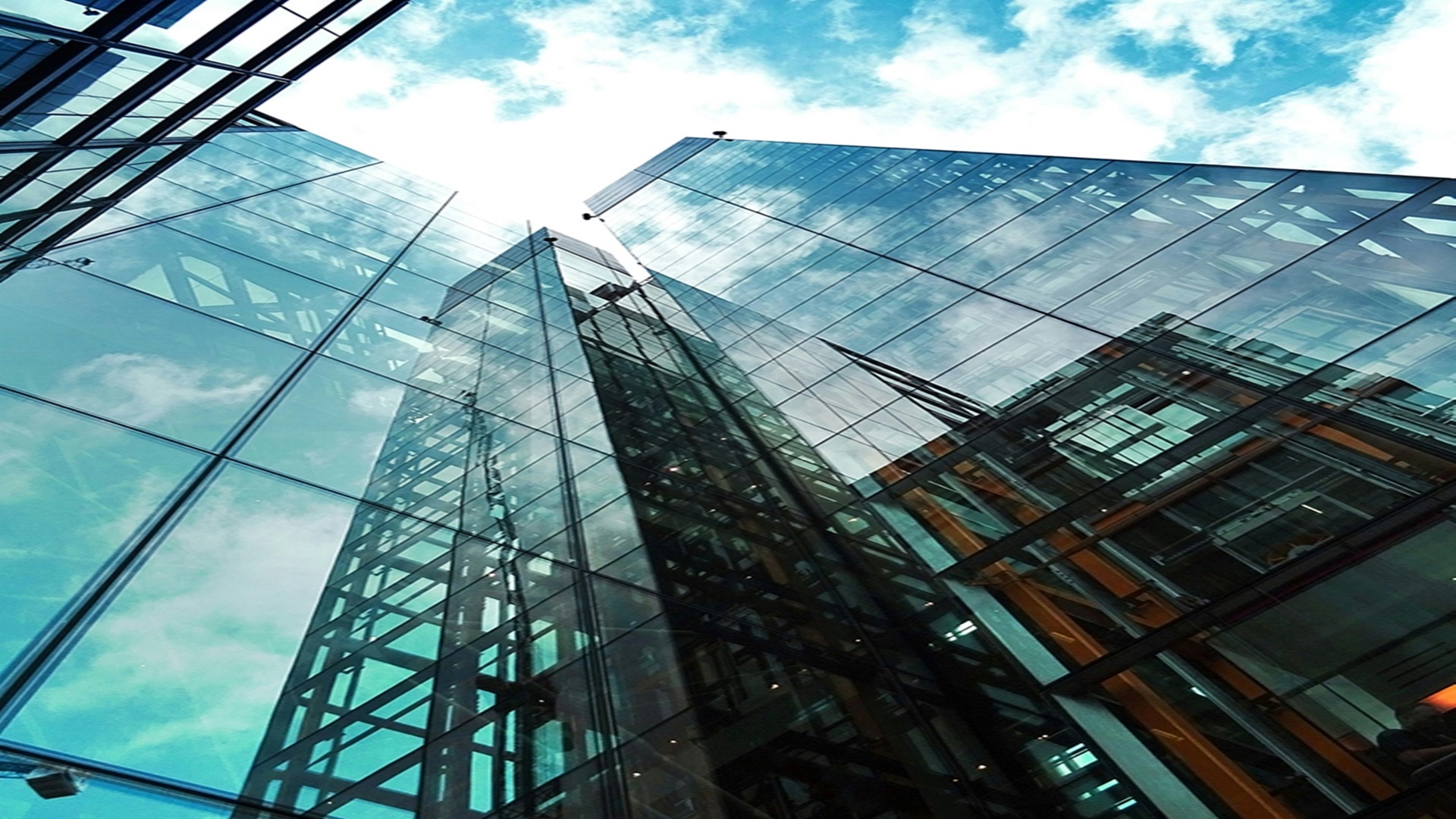 온양발리 신일해피트리 더루츠